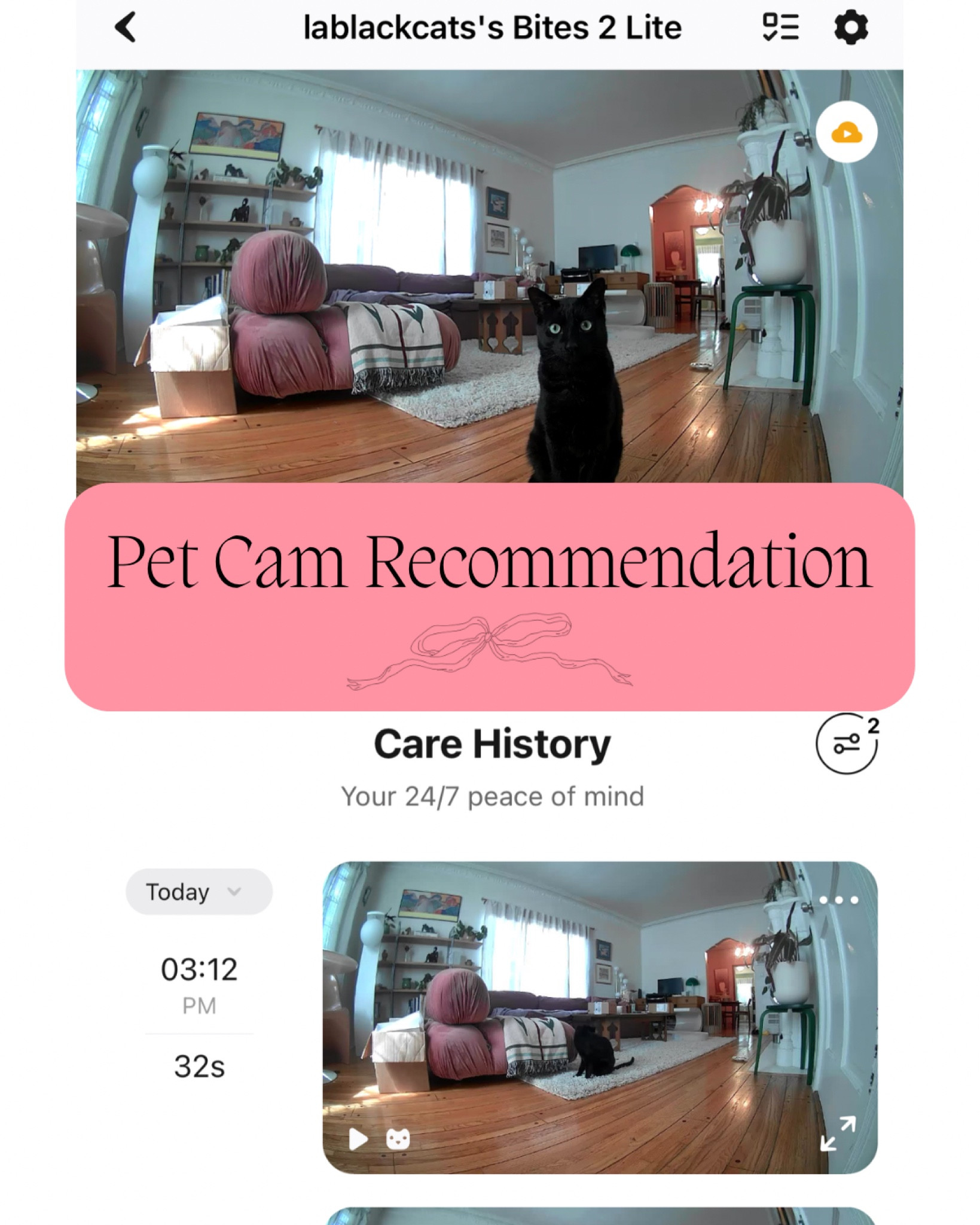 My favorite pet camera that dispenses treats! #LTKPet

#LTKfamily #LTKGiftGuide