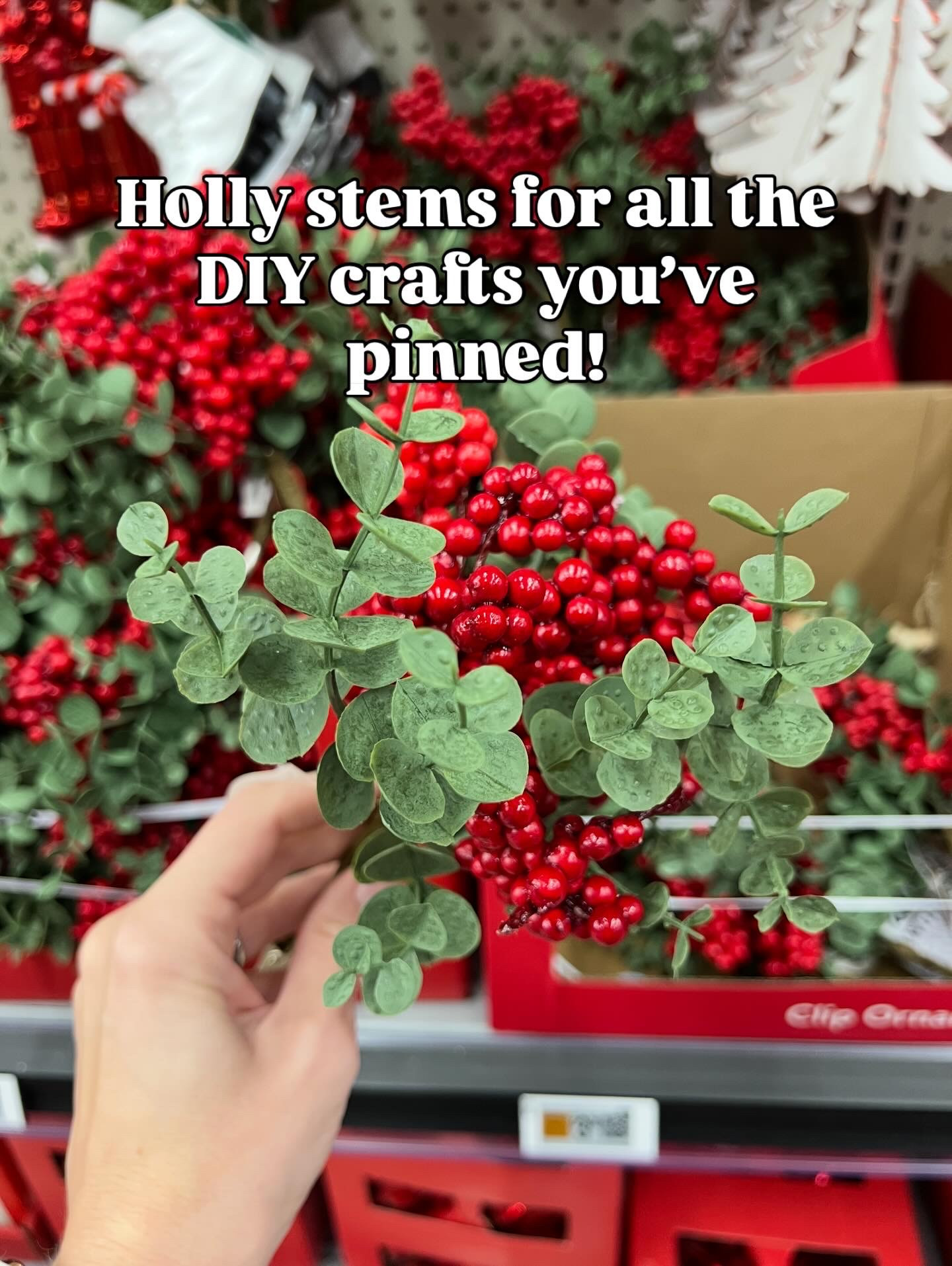 Nice to see faux florals at Walmart! Great for holiday decor. Wreaths, garland, centerpieces, gift tags, etc. #walmarthome 

#LTKHoliday #LTKFindsUnder50 #LTKSeasonal
