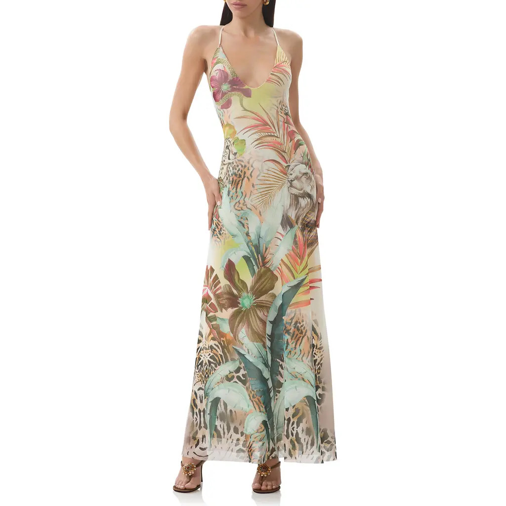 AFRM Romy Printed Mesh Maxi Slipdress in Placed Desert Tropic at Nordstrom, Size Large | Nordstrom