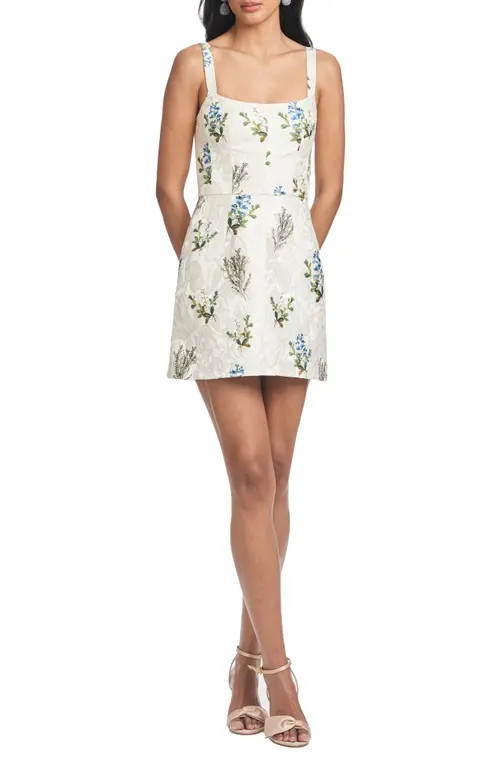 Sachin & Babi Kelsey Floral Jacquard Minidress in Pearl Panicle at Nordstrom, Size 2 | Nordstrom