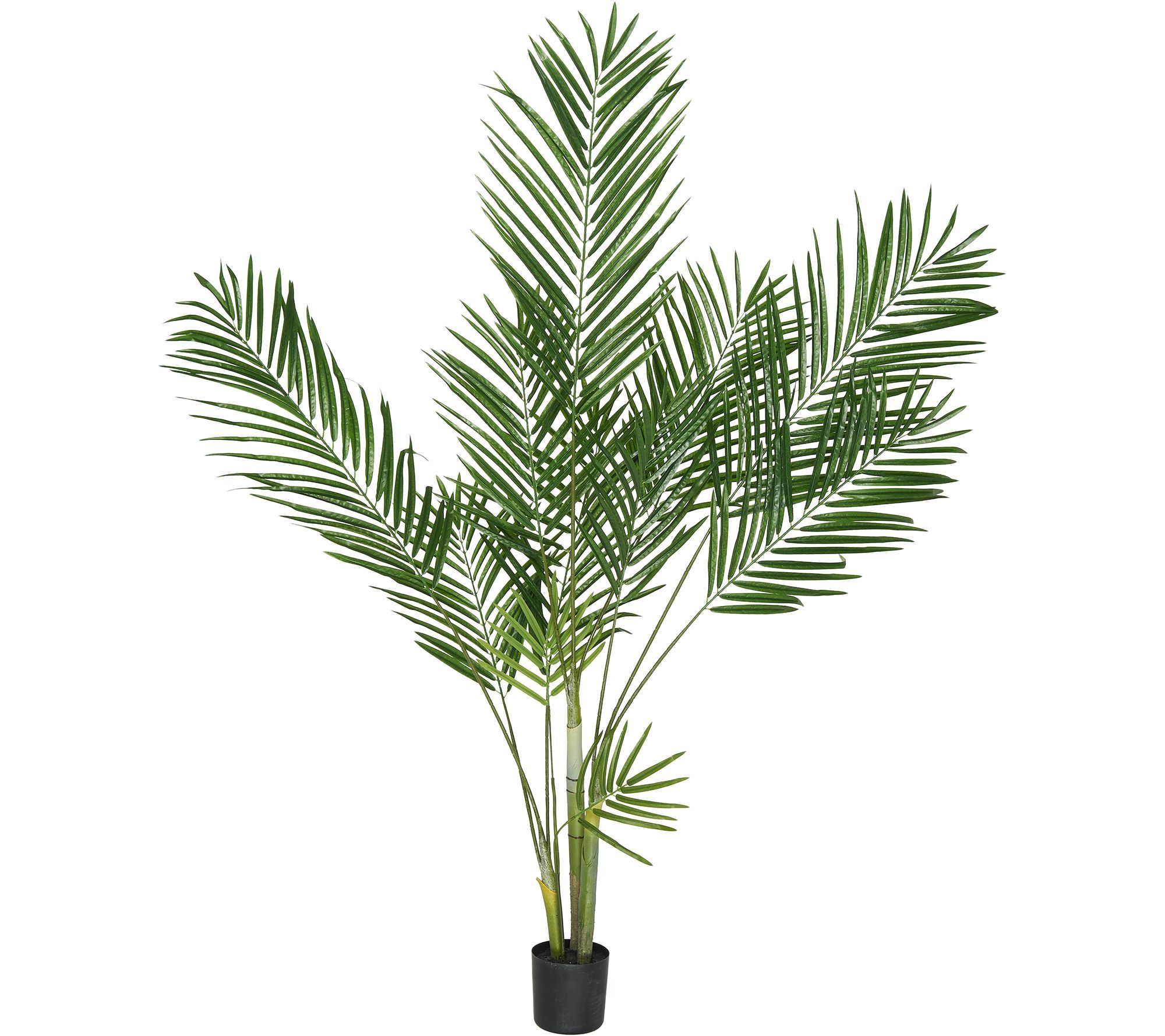 5' Faux Majestic Palm Tree with Potted Base by Valerie | QVC