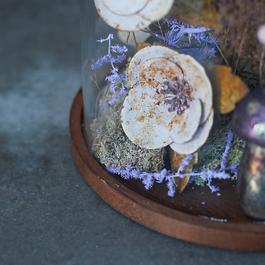 Domed Glass Cloche with Wood Base | Terrain