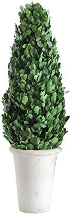 Creative Co-Op Boxwood Topiary in Clay Pot, Large | Amazon (US)