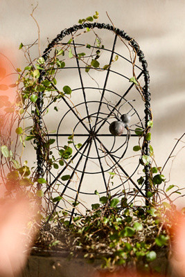 Iron Web Trellis, Small | Terrain