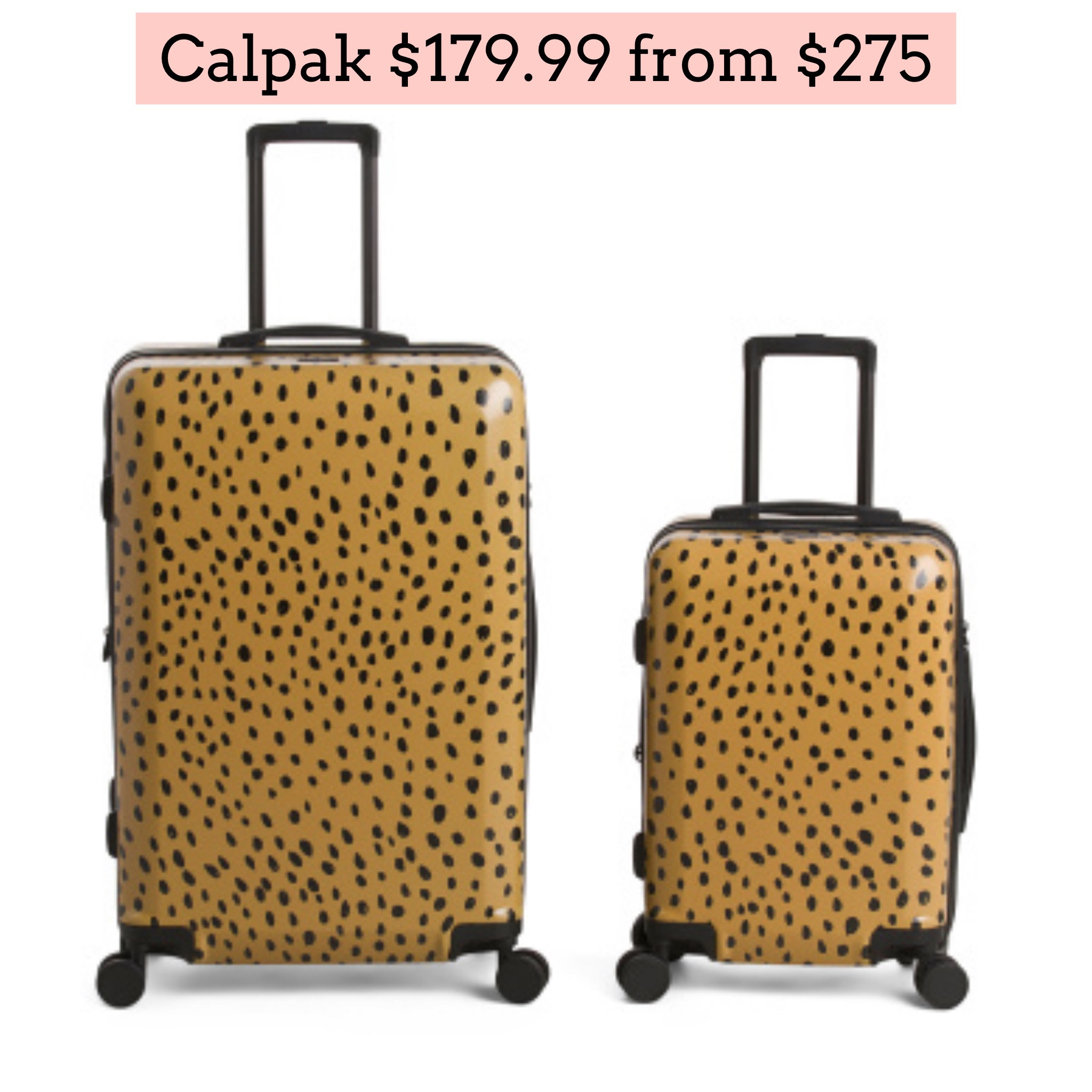 Calpak cheap chipp luggage