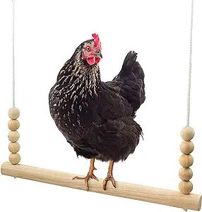 Backyard Barnyard Chicken Swing Handmade in USA!!! ! Toy for Coop (Round Bar) Natural Safe Large ... | Amazon (US)