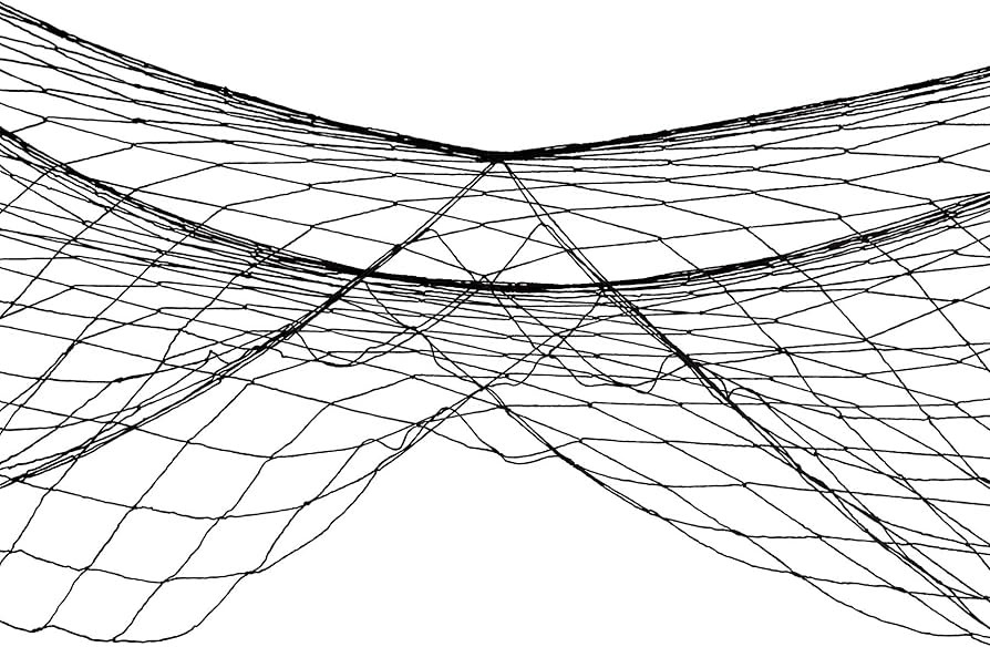 Beistle Black Novelty Decorative Fish Netting For Nautical Theme Baby Showers, Pirate Party Suppl... | Amazon (US)