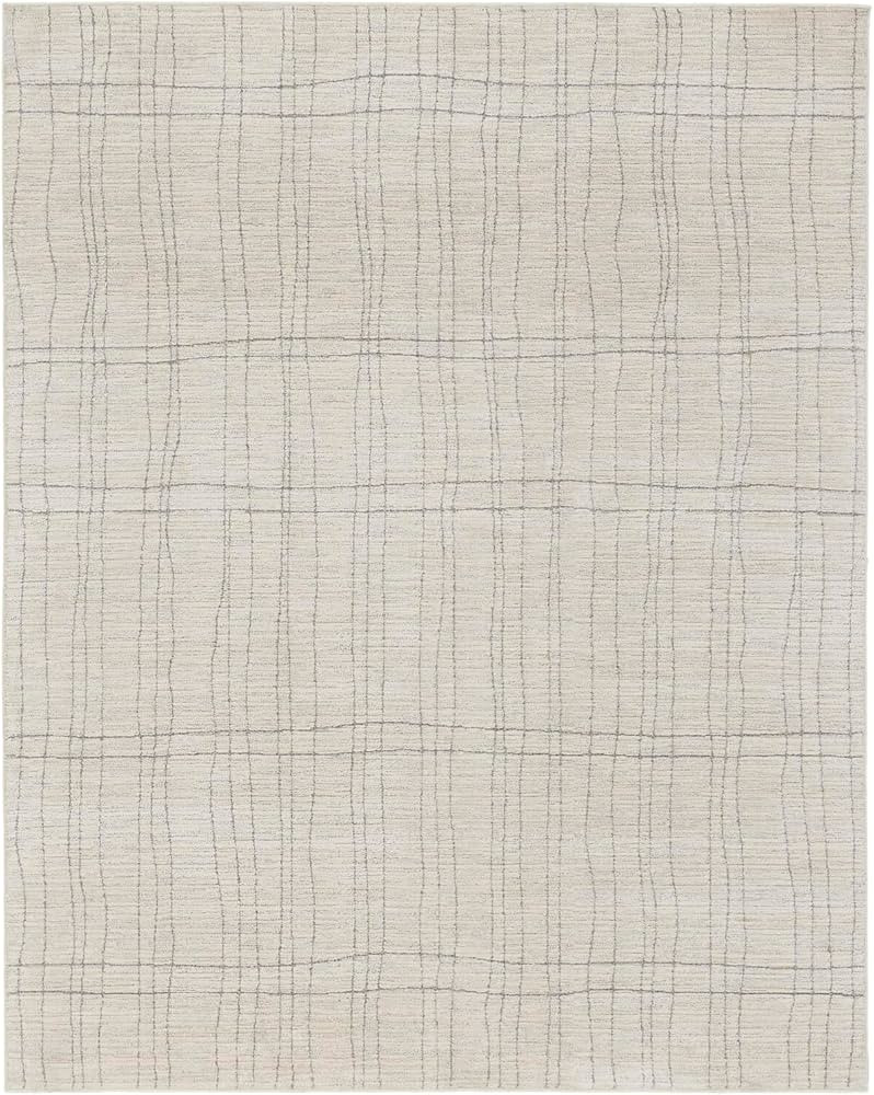 Nourison Santa Cruz Modern Ivory Grey 7'10" x 9'10" Area Rug, Easy-Cleaning, Non Shedding, Bed Ro... | Amazon (US)