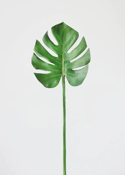 Real Touch Monstera Leaf - 29" Tall | Afloral (US)
