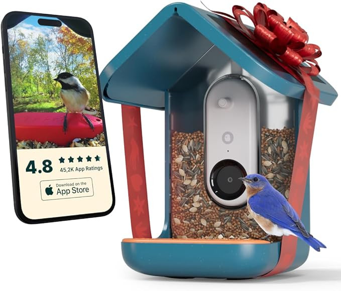 BIRD BUDDY® Original Solar Bird Feeder with Camera - AI Bird Species Identification, 5MP Photos,... | Amazon (US)