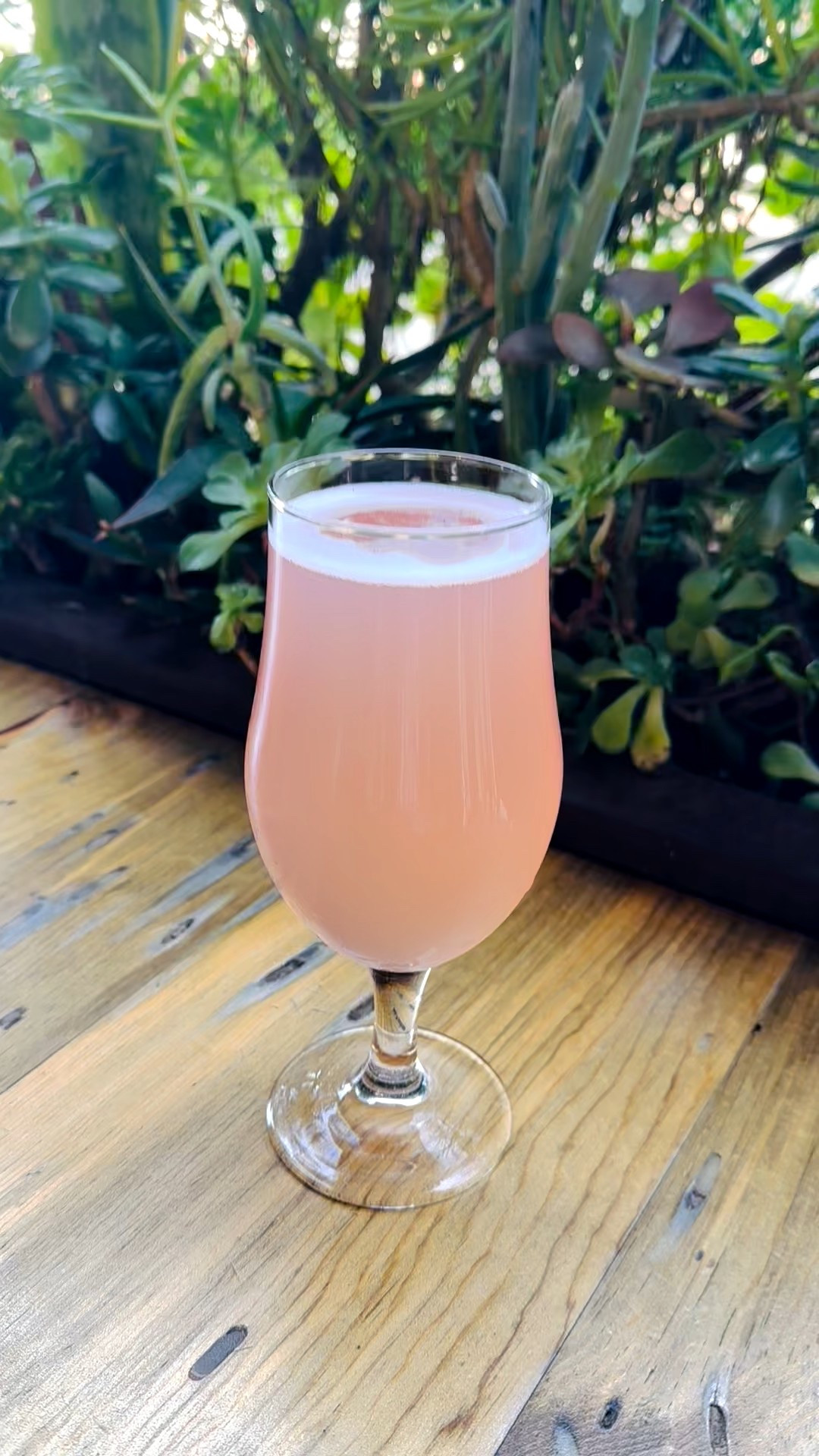 Pretty in pink.
Happy Valentine’s ❤️✨


#PrettyInPink #ValentinesDay #PinkMood #RomanticVibes #ColorStory #ChicMoments #StyledLife #LTKStyle #LTKHome



#LTKTravel #LTKHome #LTKValentine