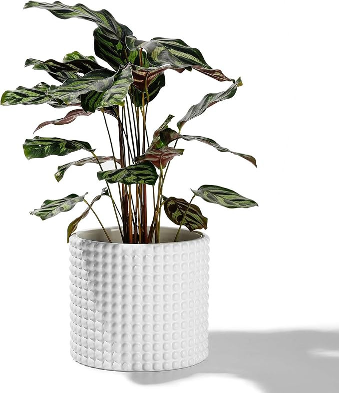 POTEY 055102 Planter Pots Indoor - 6.1 Inches Ceramic Vintage-Style Hobnail Textured Flower Plant... | Amazon (US)