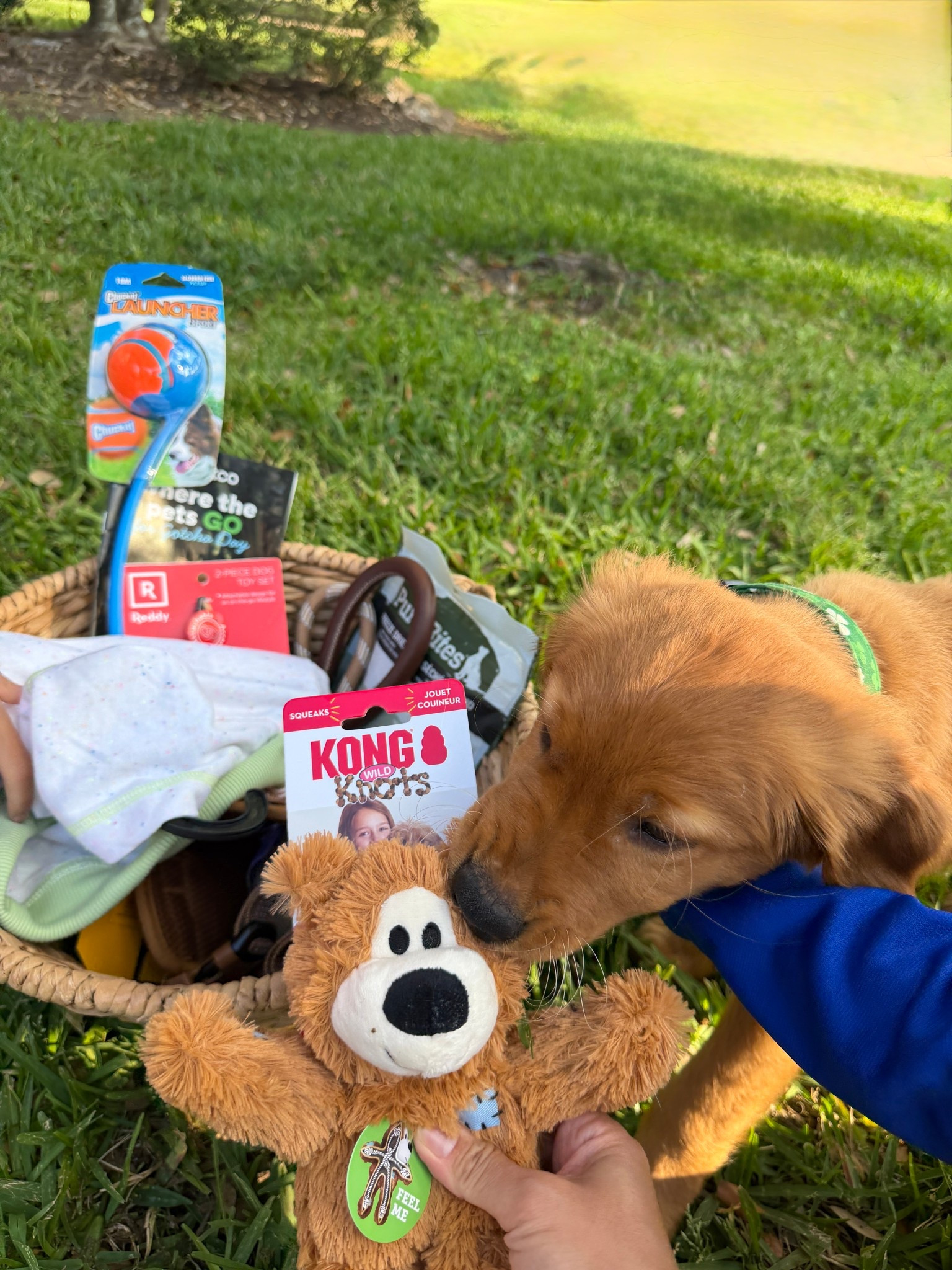 #ad #PetcoPartner POV: your besties just got a puppy 🐶 and you’re building the ultimate “gotcha” basket 🛒   @petco makes it so easy to find everything you need for day one (and beyond).