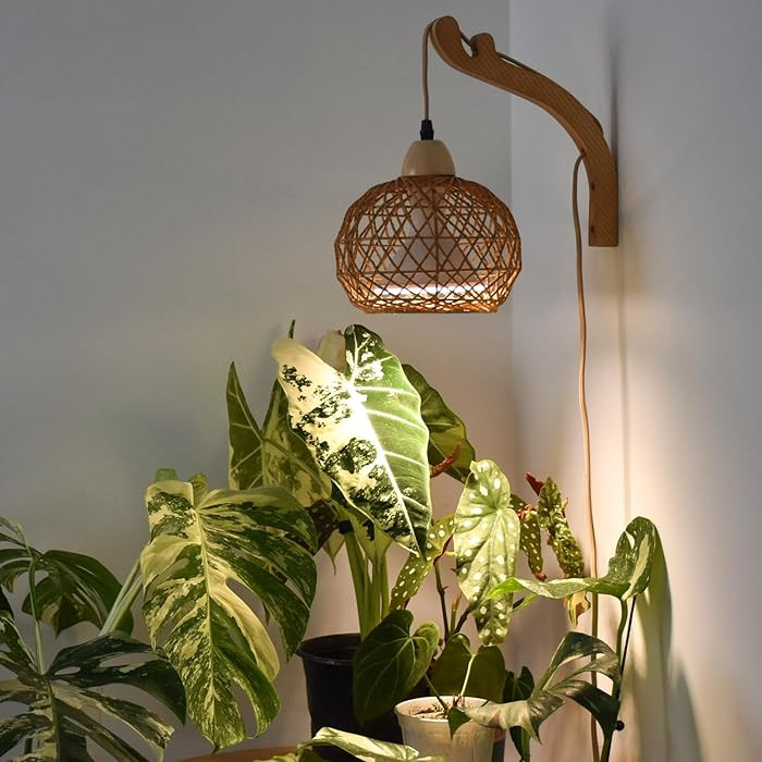 4.8  4.8 out of 5 stars  (41) | Amazon (US)