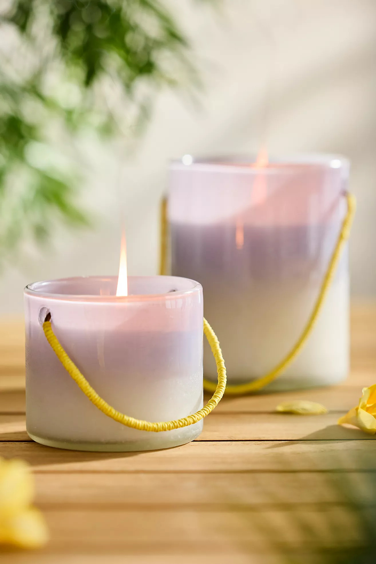Ombre Lantern Citronella Candle | Terrain