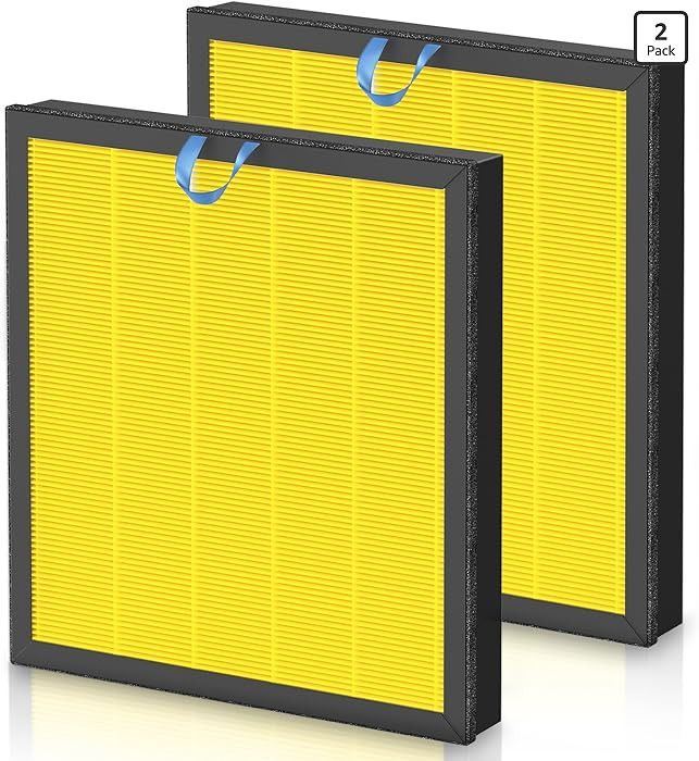 Vital 100S Pet Care Replacement Filter for LEVOIT Vital 100S-P Air Purifier, HEPA and High-Effici... | Amazon (US)