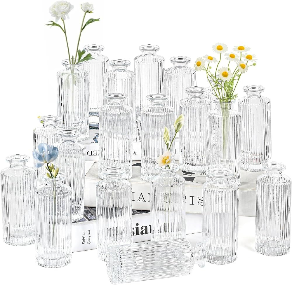 Glass Bud Vases Set of 20, Living Bud Vases, Small Bud Vase in Bulk, Mini Flowers Vases for Cente... | Amazon (US)