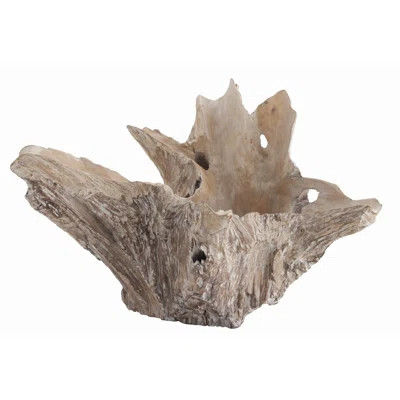 Nantucket Driftwood Decorative Bowl ARTERIORS | Wayfair North America