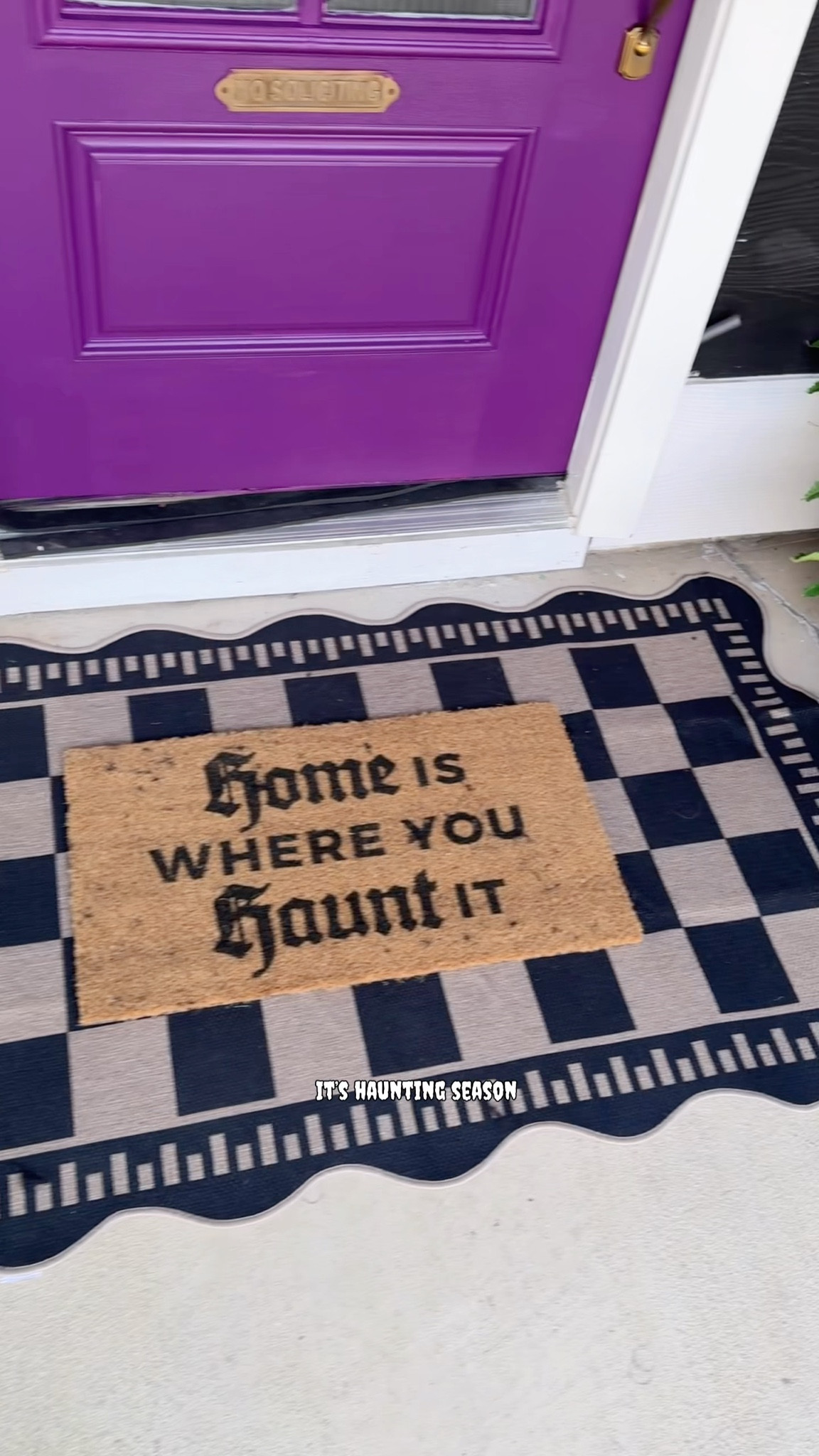 ✨Halloween magic starts at your doorstep!✨ I styled our outdoor space with pieces from the Plow & Hearth Halloween Collection to give our home that perfectly spooky, welcoming vibe. From durable, eye-catching décor to coordinated statement pieces, these finds make it so easy to bring festive charm to your porch this season.



#plowandhearth #plowliving #plowandhearthinspo #plowpossibilities @plowandhearth @shop.ltk #liketkit


#LTKFallSale #LTKSeasonal #LTKHome