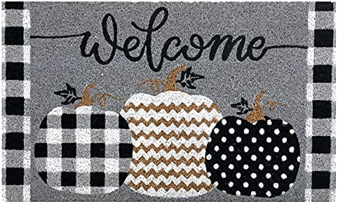 Patterned Pumpkins Fall Natural Fiber Coir Doormat Autumn 18"x30" Briarwood Lane | Amazon (US)