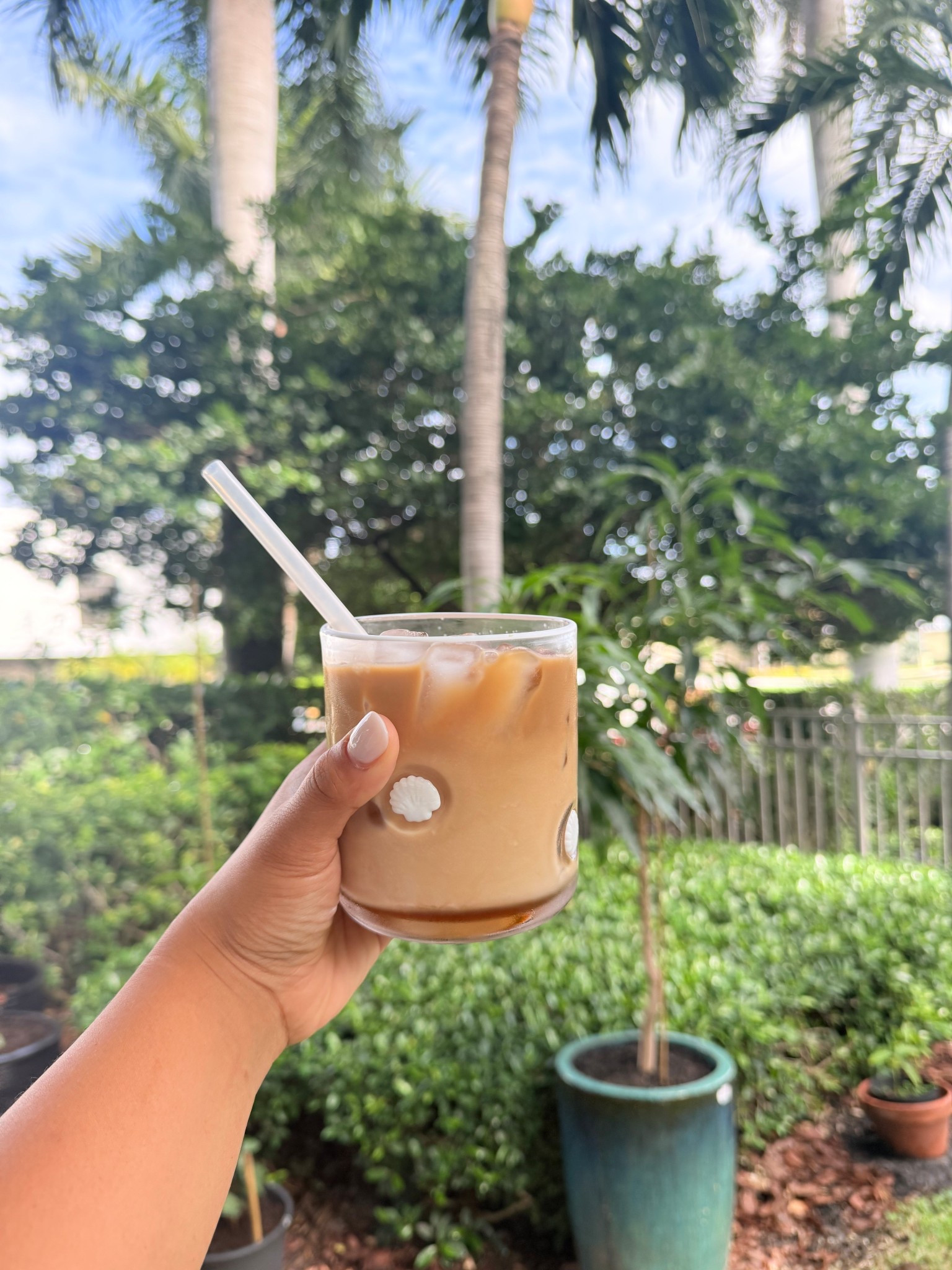 Seashell Icon Glass (from target- anthropology dupe)

#LTKGiftGuide #LTKgrwm #LTKdayinmylife