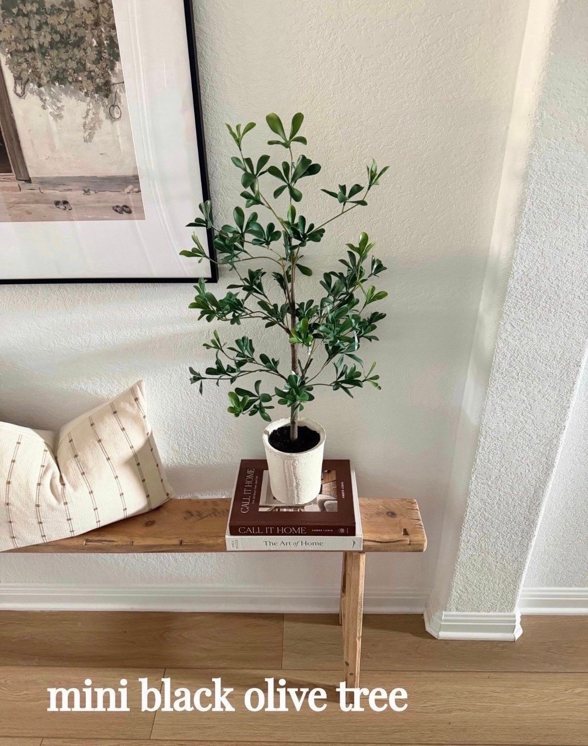 New Mini Black Olive Tree 🌿 just picked this beauty up at Target!

Love the rustic pot it comes in too!

Target Home, Target style, faux plant, olive tree, entryway decor, hearth and hand with magnolia 

#LTKSpringSale