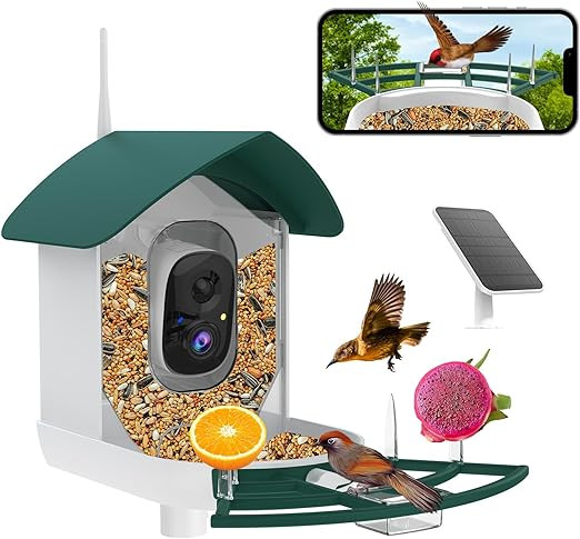 Bird Feeder with Camera,AI Identify Birds Species,Smart Birds Camera with Solar Powered,Auto Reco... | Amazon (US)