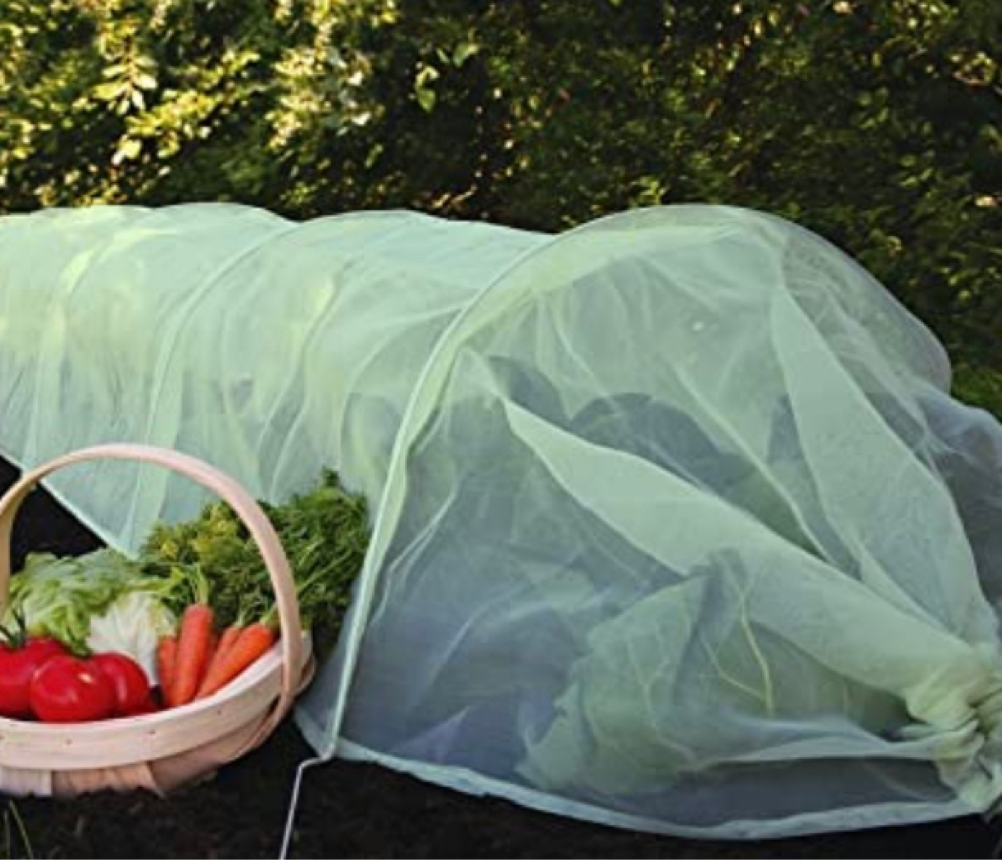 I use this to protect carrots and young seedlings from rust fly  #LTKGiftGuide

#LTKHoliday #LTKhome