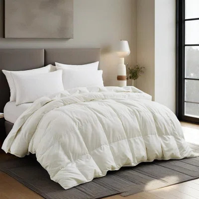 Lightweight White Goose Fiber Comforter | Wayfair North America