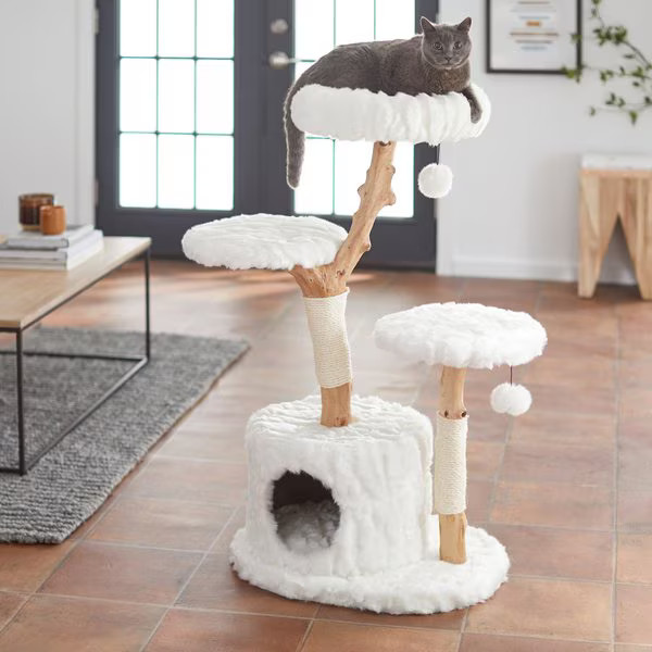 FRISCO Natural Wood Modern Cat Tree with Toy, Ivory, Large - Chewy.com | Chewy.com