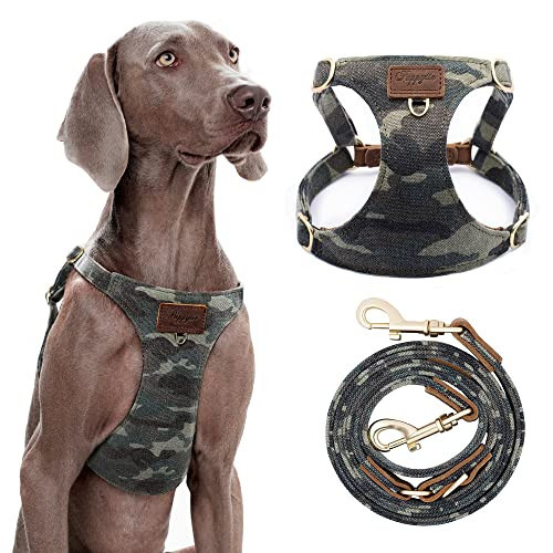 Dog Harness, No Pull Dogs Harness and Multi-Function Leash Set for Medium Dogs Easy Walk Everyday Adjustable Soft Dog Vest Harness Fashionable Dog Accessories Camouflage Green-L | Amazon (US)
