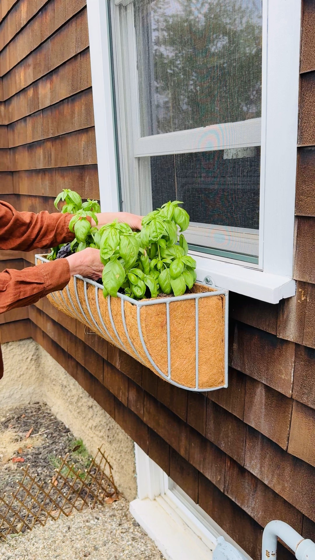 These zinc attack window boxes are gorgeous with flowers or basil!

#LTKHome #LTKSeasonal