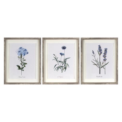(Set of 3) 16"x20" Framed Vintage Botanicals Decorative Wall Art Natural/Blue - Threshold™ | Target