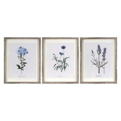 (Set of 3) 16"x20" Framed Vintage Botanicals Decorative Wall Art Natural/Blue - Threshold™ | Target