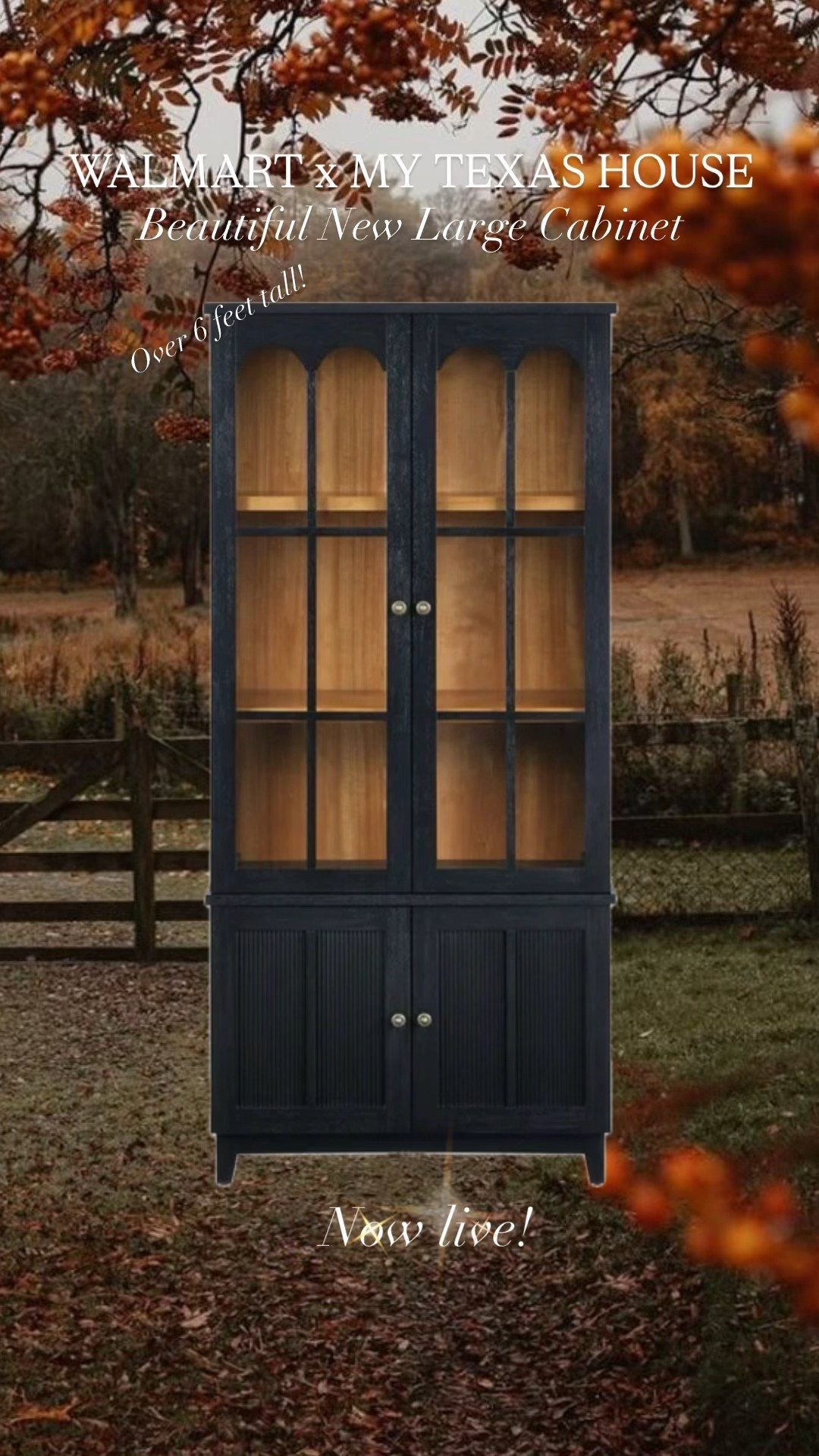 Our gorgeous new black and medium warm wood cabinet is now live! 

#LTKHome #LTKSeasonal