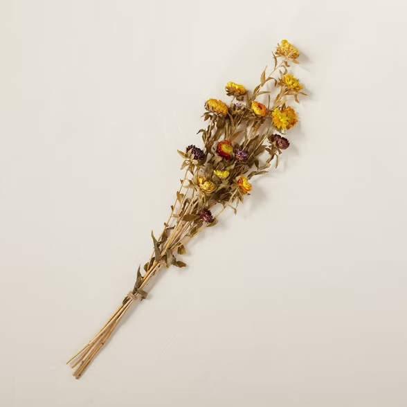 Dried Safflower Stems Plant Bundle - Hearth & Hand™ with Magnolia | Target
