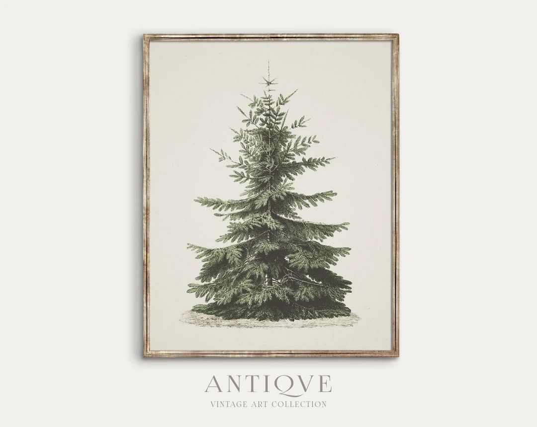 Vintage Fir Botanical Sketch Printable Christmas Tree Pine - Etsy | Etsy (US)
