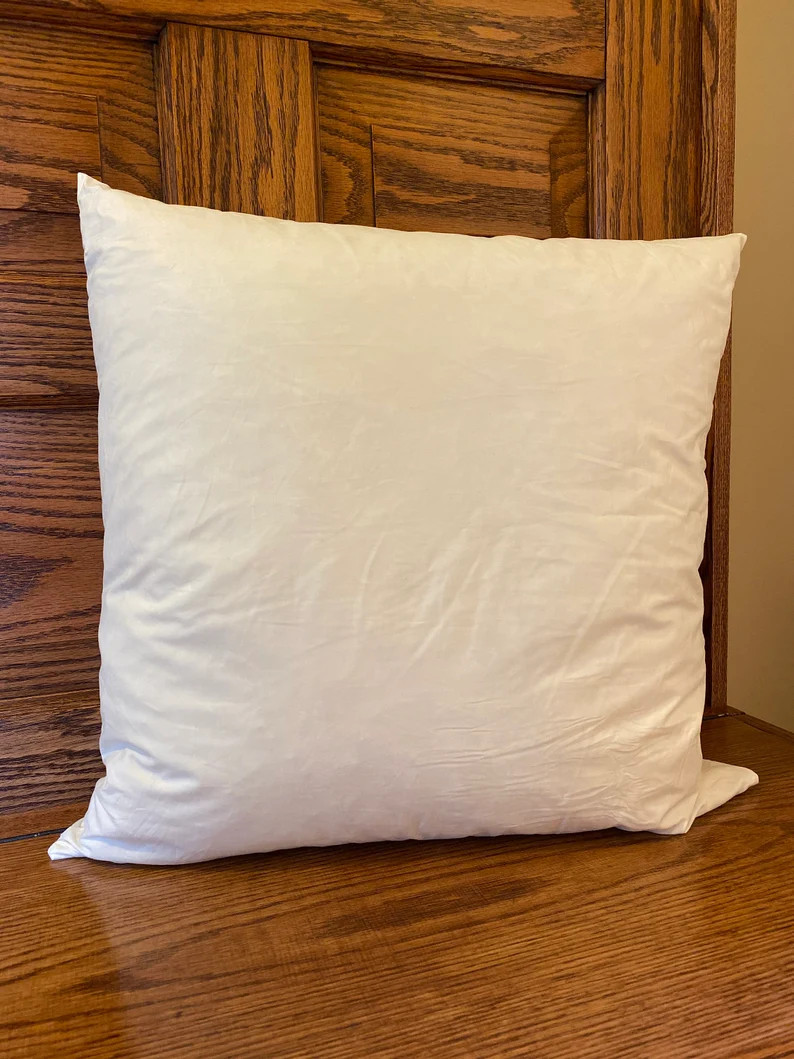 20 x 20 Pillow Insert-Feather Pillow-Pillows for Couch-Pillows for Covers-Pillows for Decorative ... | Etsy (US)