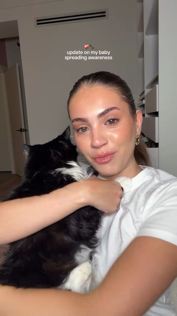 Wanted to share this in real-time. incase it helps anybody or if anyone has positive stories, or helpful tips for us 🫶 

Scariest part of it all is that it was detected incidentally, she is asymptomatic (as far as we know) and it’s hard to accept that she is struggling with this when she looks acts/looks fine.

We have gotten multiple opinions, and waiting to confirm this but most signs point to 90% to mast cell tumor in her spleen. We will find out more today

What I have learned on her feline cancer journey: 

🐾 1 in 5 cats will develop cancer in their lifetime.

🐾 Cats can live perfectly normal lives without their spleens. 

🐾 Cats are exceptional at hiding any pain or weakness as a survival instinct avoid appearing weak to predators.

#catsofinstagram #felinecancer #tuxedocats #catmom #anticipatorygrief