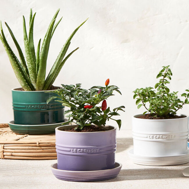 Herb Planter | Le Creuset