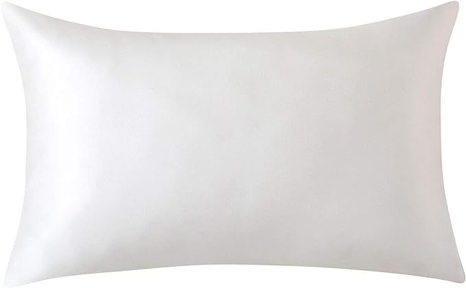 SLPBABY Silk Pillowcase for Hair and Skin with Hidden Zipper Print (Queen, Ivory) | Amazon (US)