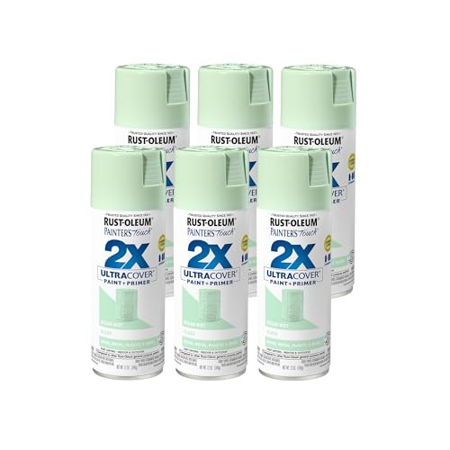 Rust-Oleum 334053-6PK Painter's Touch 2X Ultra Cover Spray Paint, 12 oz, Gloss Ocean Mist, 6 Pack | Amazon (US)
