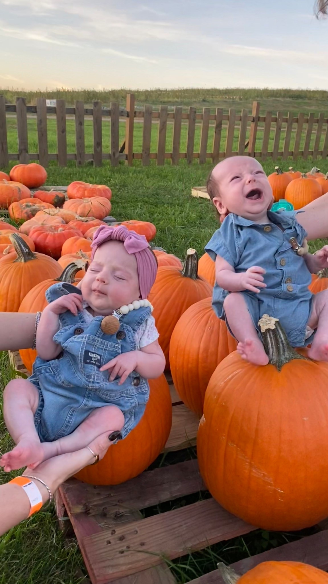 Pumpkin patch cuties! Love their denim outfits for family pics 

#LTKBaby #LTKSeasonal #LTKHalloween