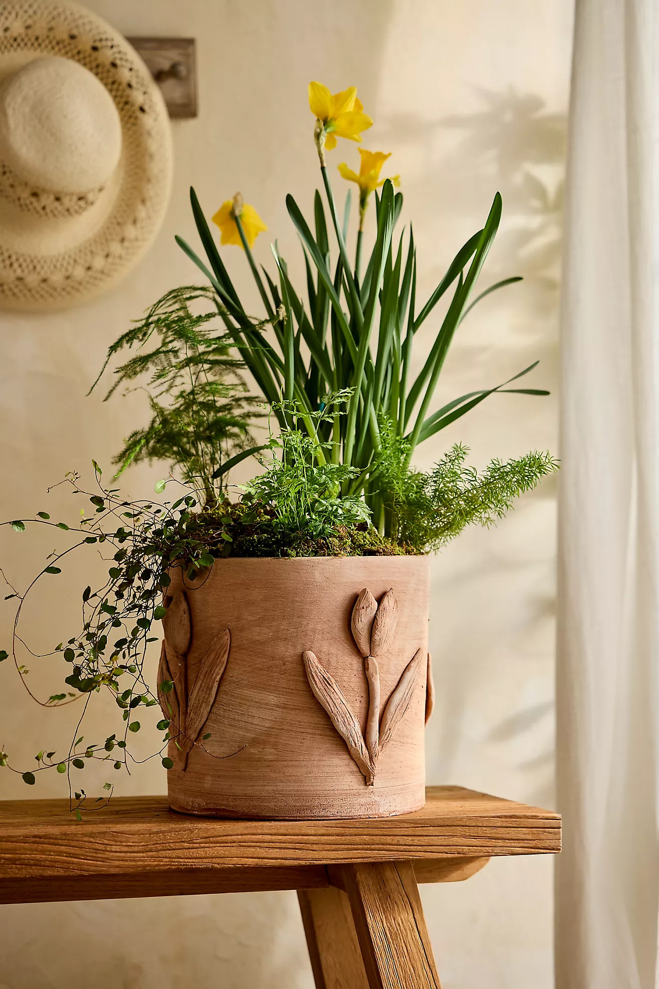 Tulip Icon Terracotta Planter | Anthropologie (US)