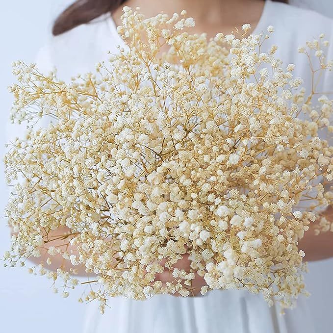 beerfingo Dried-Flowers-Babys-Breath-Bouquet-17.2 inch 2000+ Ivory White Flowers, Natural Gypsoph... | Amazon (US)