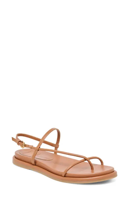 Dolce Vita Dom Strappy Sandal in Saddle Leather at Nordstrom, Size 5.5 | Nordstrom