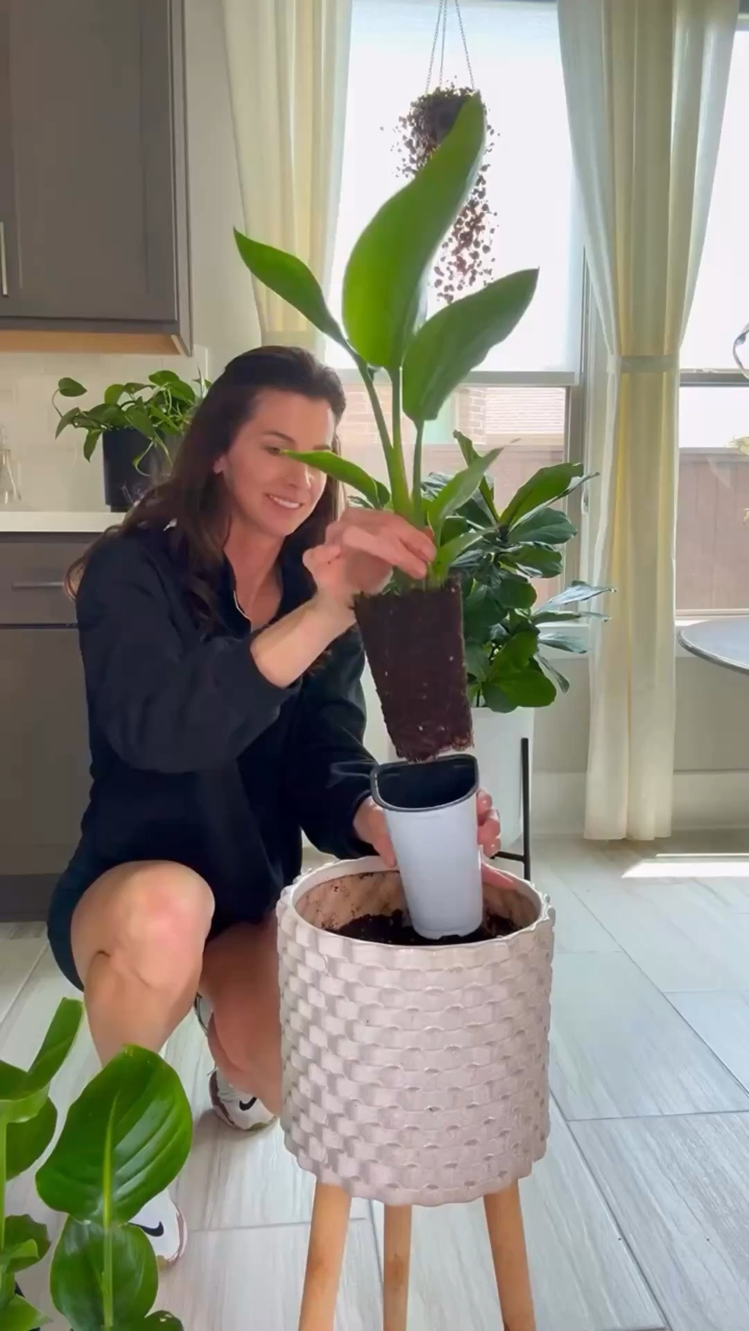 If you’d like the links, comment “plant” 🌿

Bird of Paradise don’t always look stressed when they need a new pot — sometimes they simply run out of space.

Signs it’s time to size up include roots circling the pot, soil drying out faster than usual, slowed leaf growth, or the container starting to feel tight and unstable. When roots don’t have room, the plant can’t support continued healthy growth.

Moving up just a couple inches and refreshing the soil gives roots space to expand and helps the plant stay strong over time.

#houseplantcare #birdofparadiseplant #planttips #repottingplants #indoorgardening

bird of paradise care | when to repot bird of paradise | rootbound houseplants | how to repot large houseplants | indoor plant care tips | fast growing houseplants | plant pot sizing | beginner plant care | tropical houseplants | plant growth

#LTKOver40 #LTKHome #LTKdayinmylife