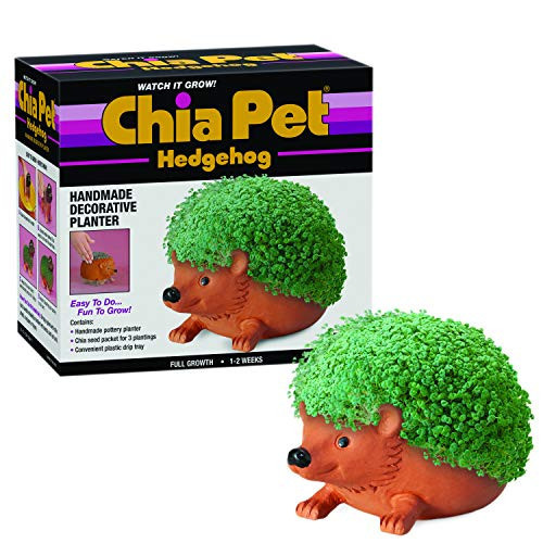 Chia Pet Hedgehog with Seed Pack, Decorative Pottery Planter, Easy to Do and Fun to Grow, Novelty Gift, Perfect for Any Occasion, Terra Cotta | Amazon (US)