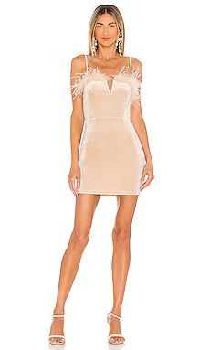 superdown Erika Feather Trim Mini Dress in Champagne from Revolve.com | Revolve Clothing (Global)