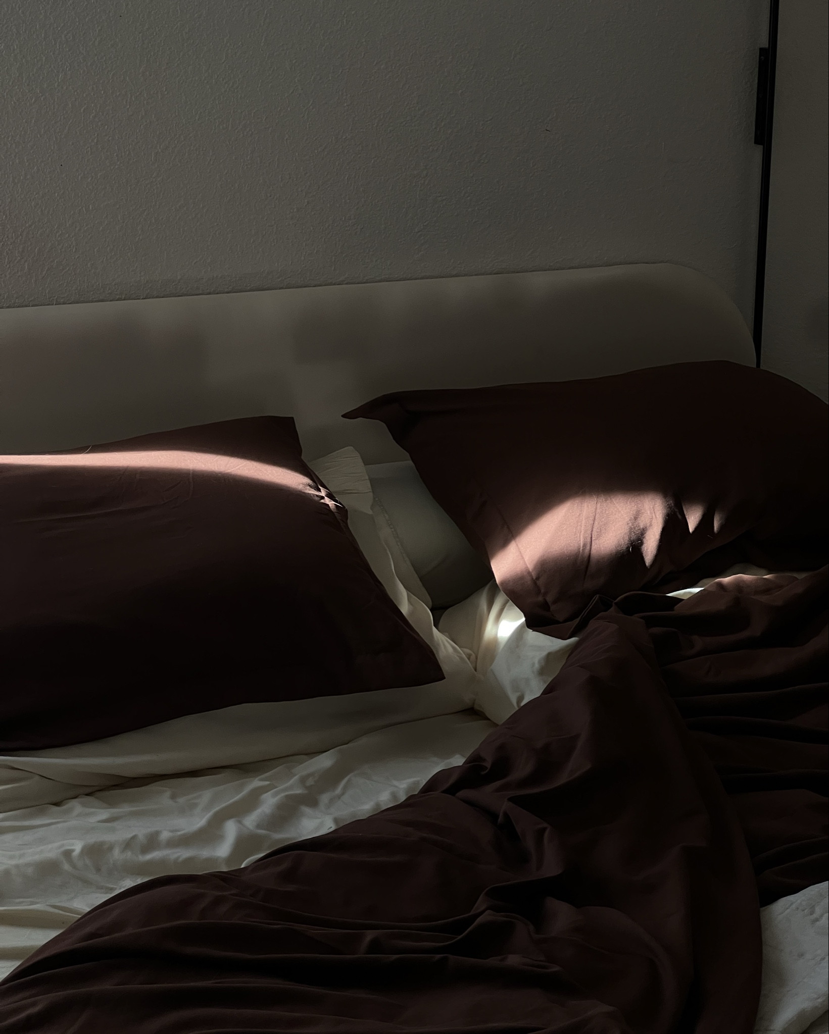 Chocolate/Burdgundy bedding 

#LTKFindsUnder100 #LTKStyleTip #LTKHome
